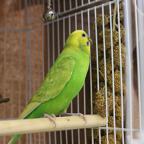 blog141208_04