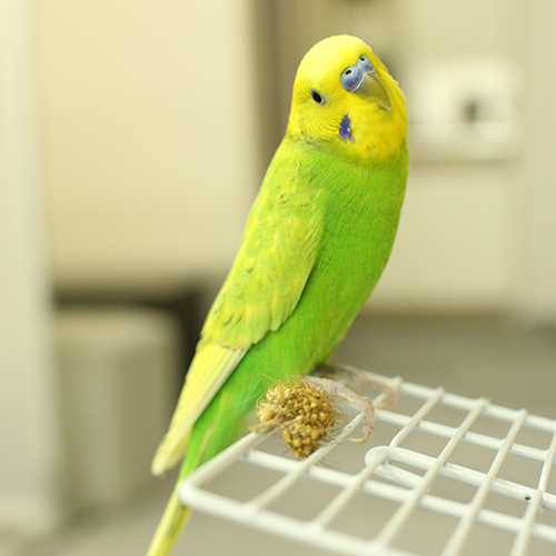 blog141208_06