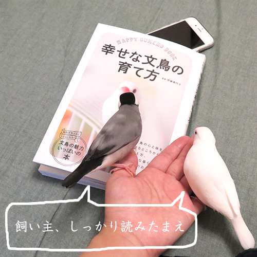 飼い主は熟読するように！