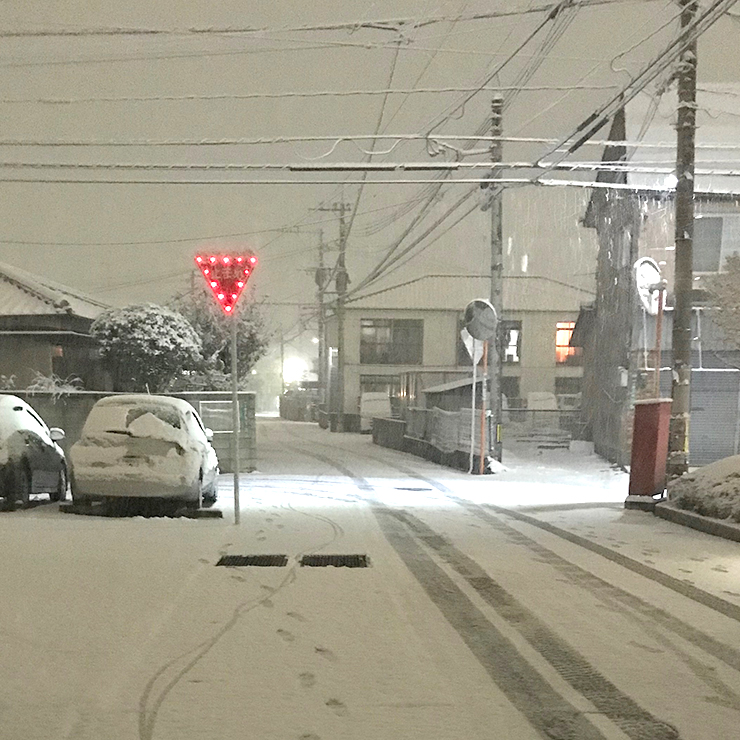 雪が積もりました