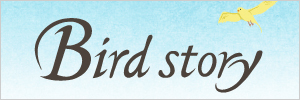 Bird Story